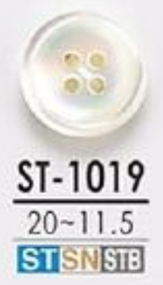 ST1019 由尖尾螺制成，正面有 4 个孔，有光泽的纽扣 爱丽丝纽扣