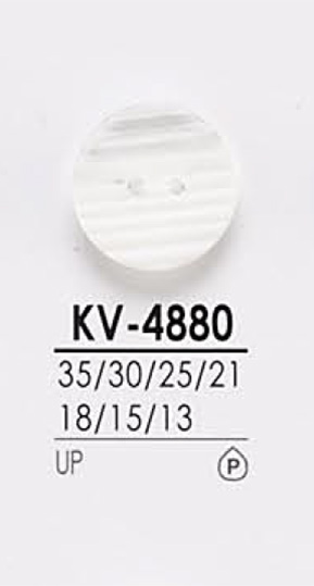 KV4880 用于染色的衬衫纽扣 爱丽丝纽扣