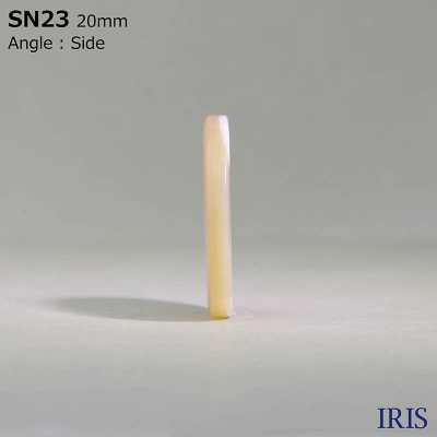 SN23 天然材料由尖尾螺制成 2 孔光泽纽扣 爱丽丝纽扣 更多图片