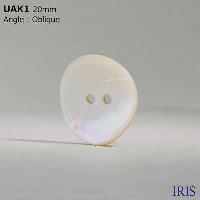 UAK1 天然材料外壳染色前孔 2 孔光面纽扣 爱丽丝纽扣 更多图片
