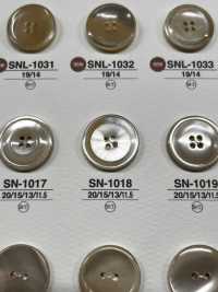 SN1018 由尖尾螺制成，正面有 4 个孔，有光泽的纽扣 爱丽丝纽扣 更多图片