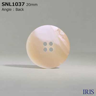 SNL1037 天然材料 4尖尾螺壳壳纽扣 爱丽丝纽扣 更多图片