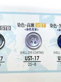 UST-17 天然材料尖尾螺贝壳4 孔贝壳贝壳纽扣 爱丽丝纽扣 更多图片