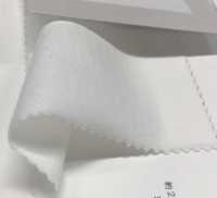 6520 20 / CLEANSE天竺棉[面料] Fujisaki Textile 更多图片