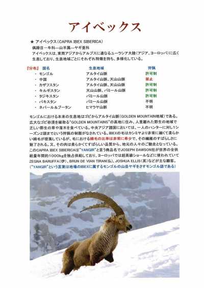 5654 日本制造的深木羊毛 超豪华大衣材料羱羊毛面料 FUKAKI 更多图片