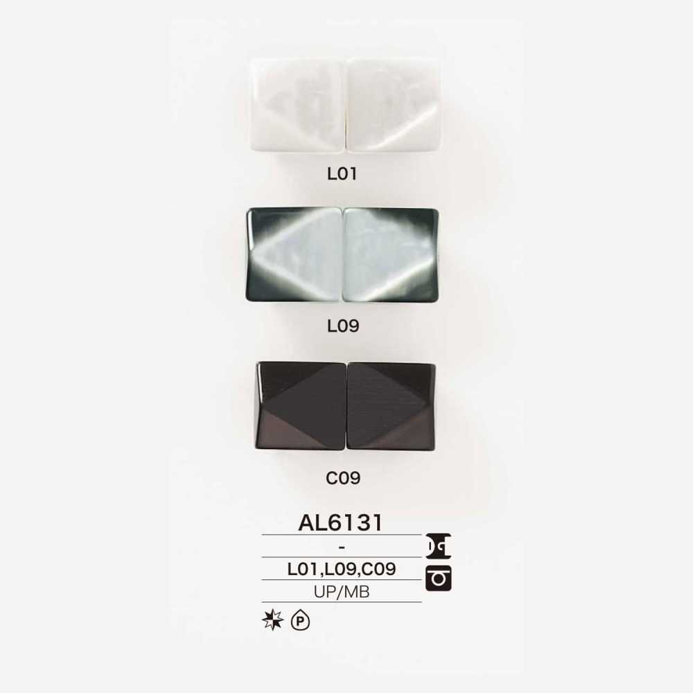 AL6131 聚酯纤维/黄铜前部部件[钩扣] IRIS纽扣