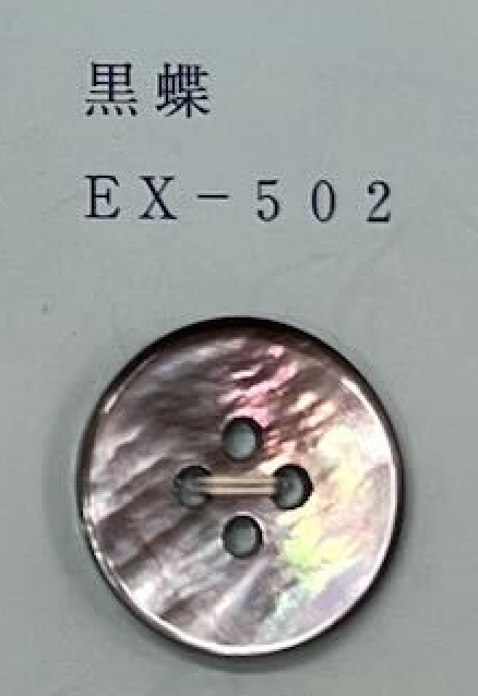 EX502 2孔有边贝壳贝壳纽扣 友井