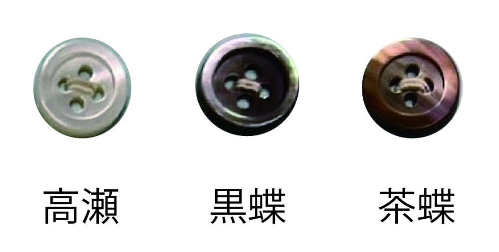 F17 17型四孔纽扣 友井
