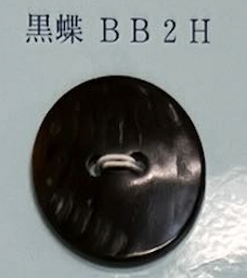 BB2H 2孔无边贝壳纽扣 友井