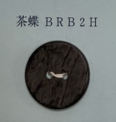 BRB2H 2 孔，无边框，贝壳纽扣 友井