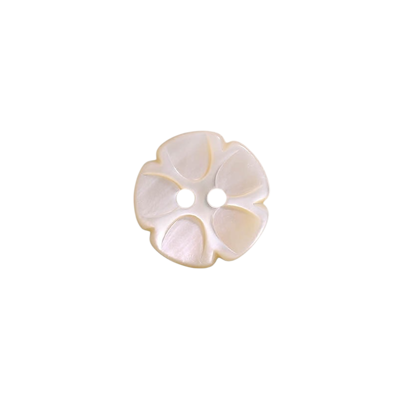 SSO19 双孔贝壳纽扣 IRIS纽扣
