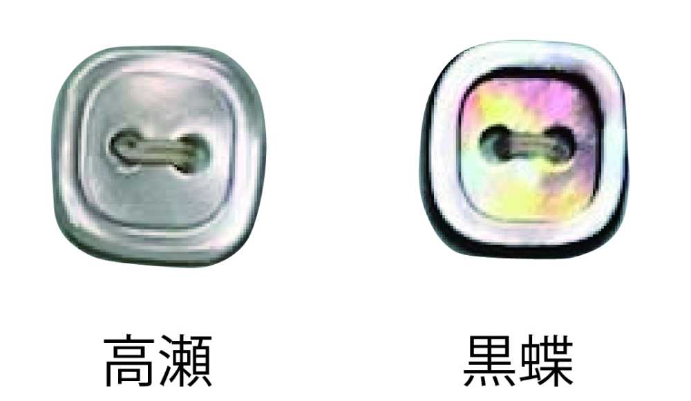 4002H 4孔，带边贝壳贝壳纽扣 友井