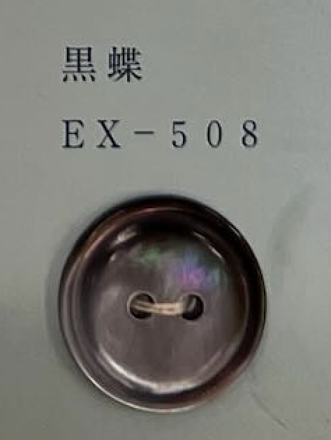 EX508 2孔镶边贝壳纽扣 友井