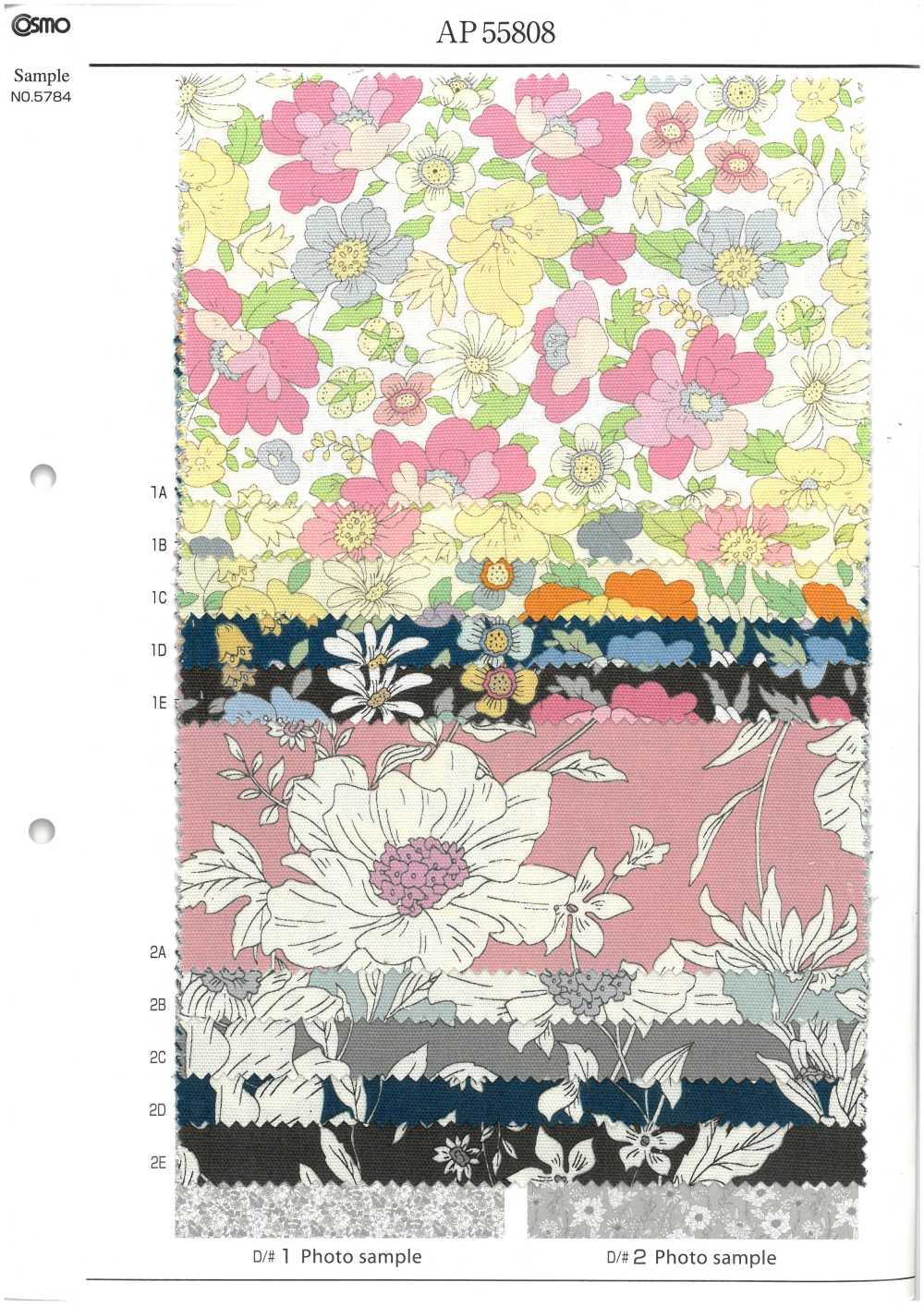 AP55808-DR 牛津《 Essential Grace 2》（对折）[面料] Cosmo Textile