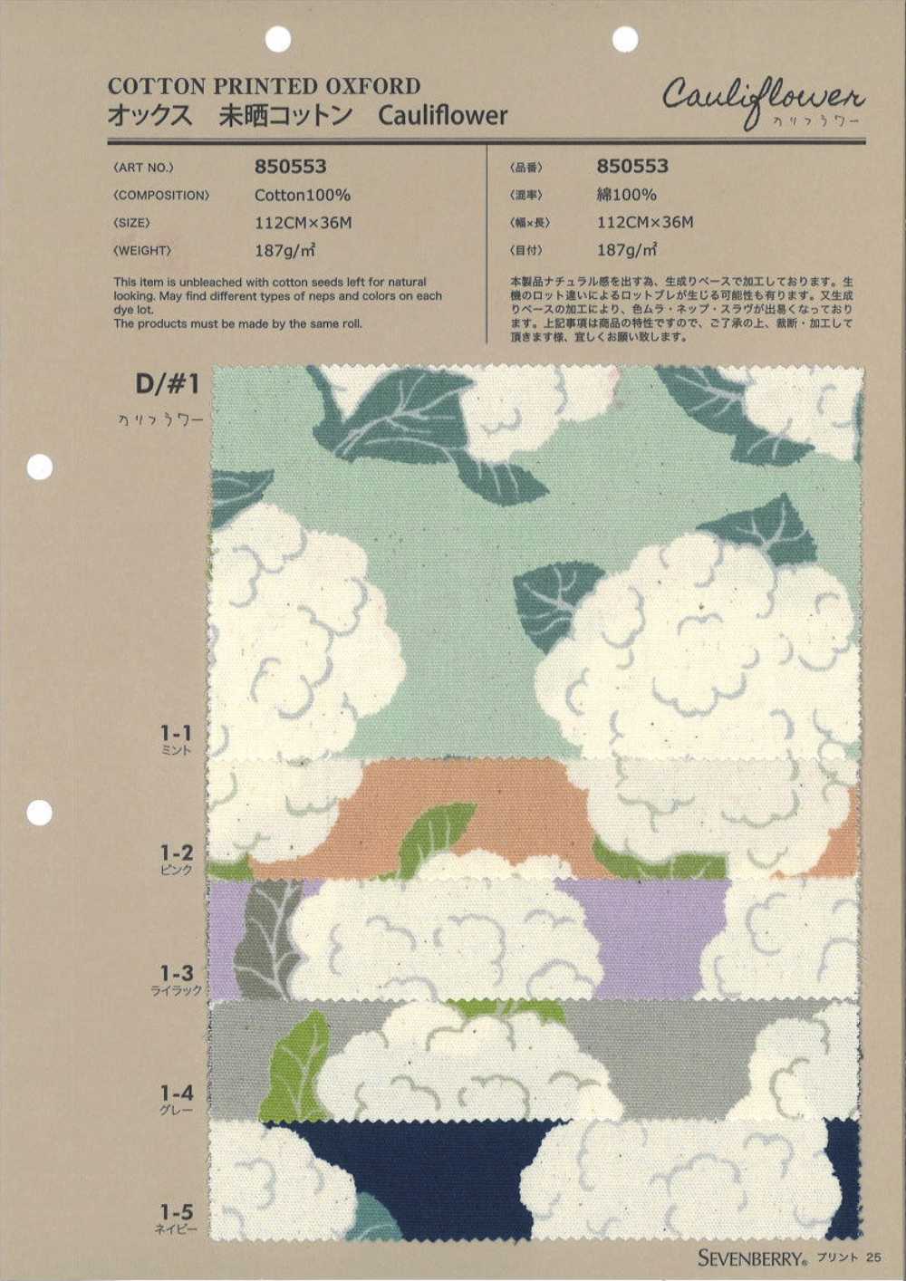 850553 未漂白牛津棉花椰菜[面料] VANCET 奔时代