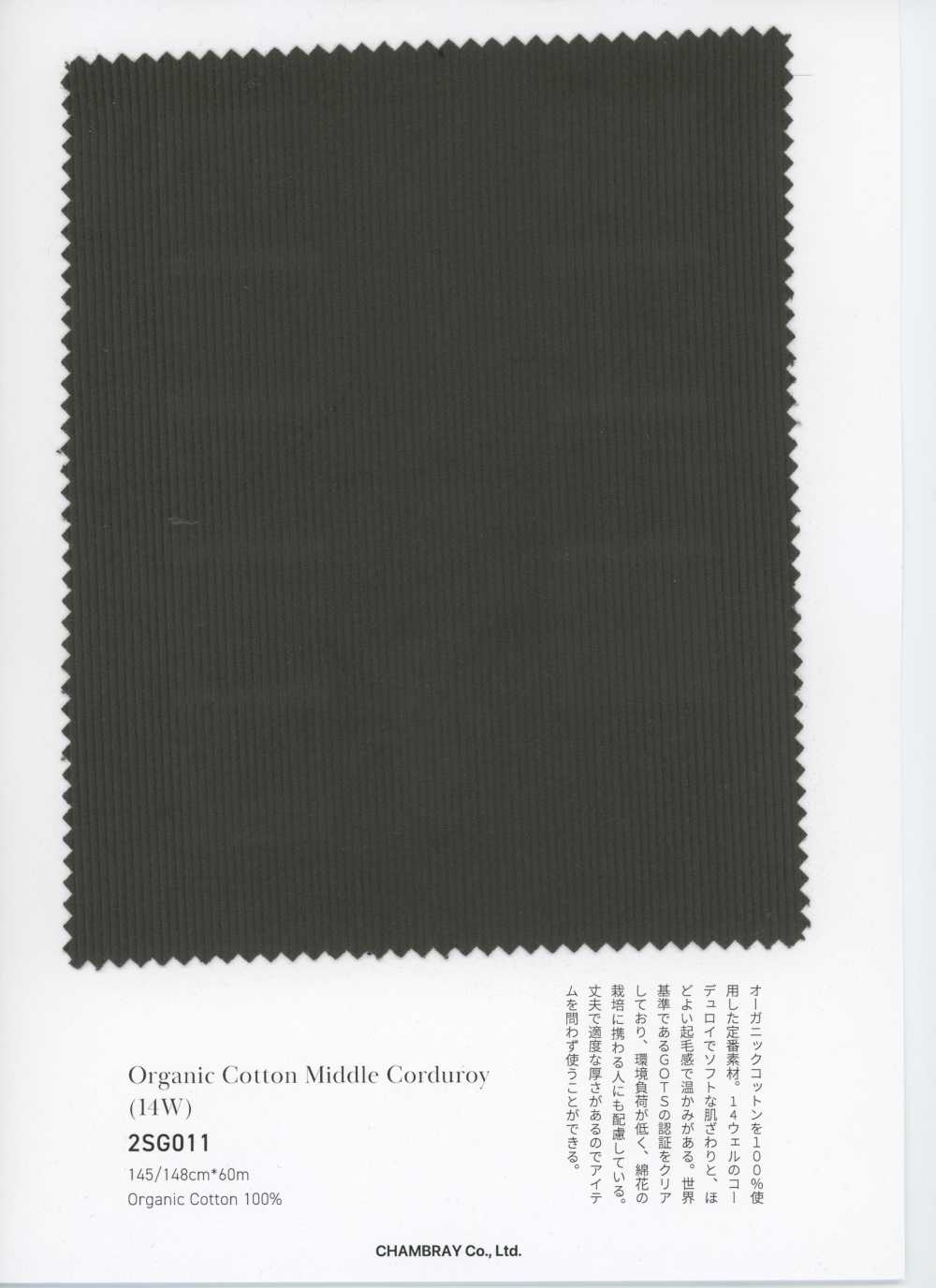2SG011 有机棉中条灯芯绒（14W）[面料] CHAMBRAY