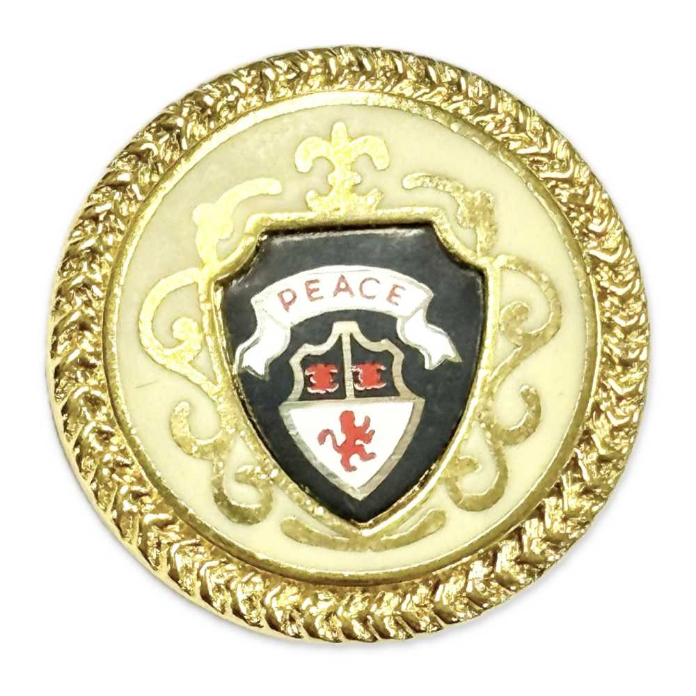 EX164 日本制造的西装和夹克用金色金属纽扣