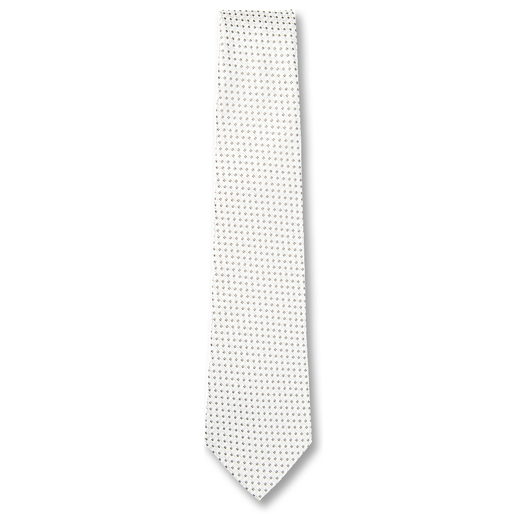 NE-902 日本制造正装的领带点灰白色[正装配饰] 山本（EXCY）