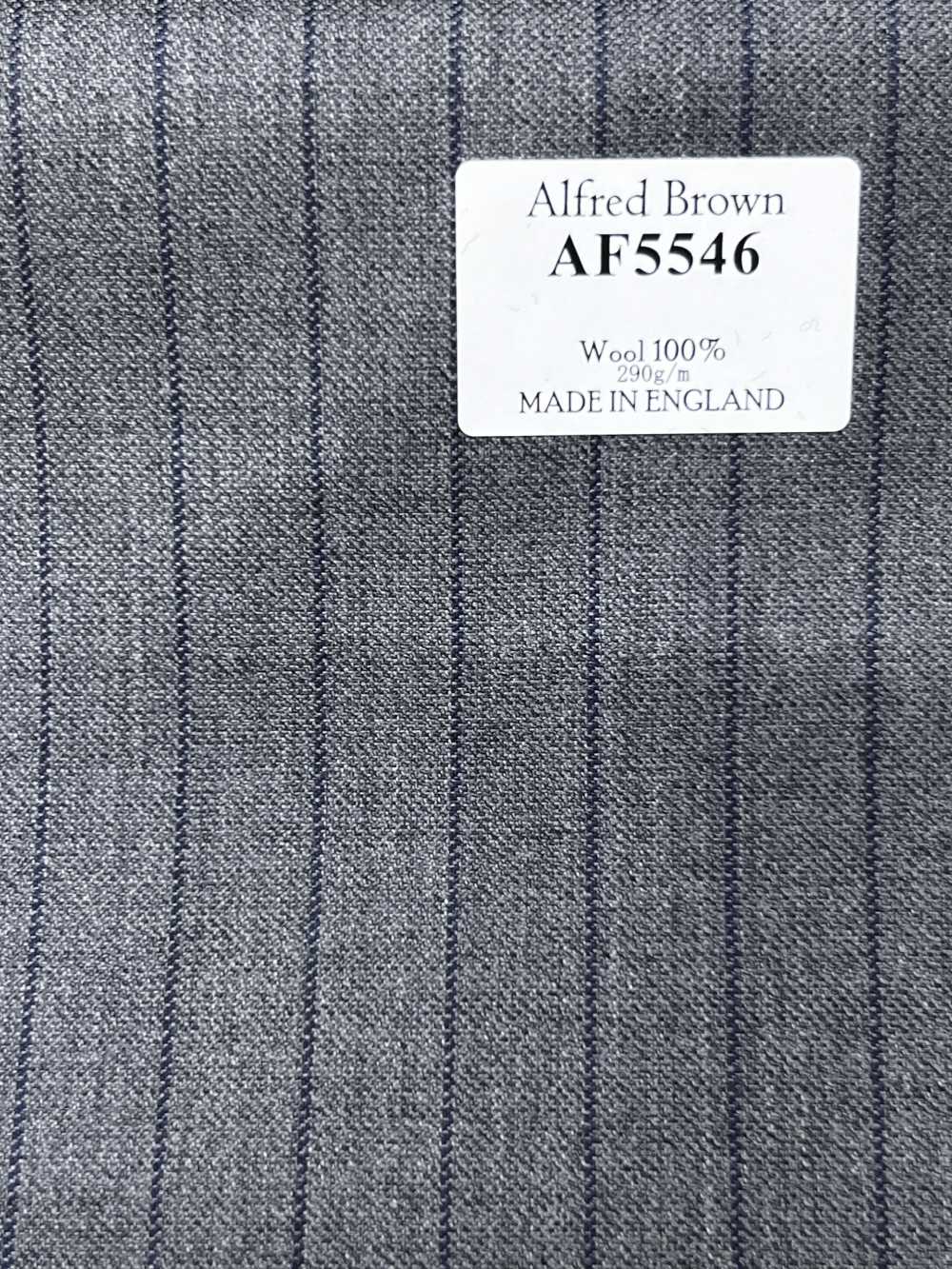 AF5546 Alfred Brown 灰色×藏青蓝条纹[面料] 细井商事株式会社