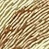 浅金色/棕色
