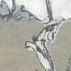 米色
