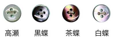 1504 四孔贝壳纽扣