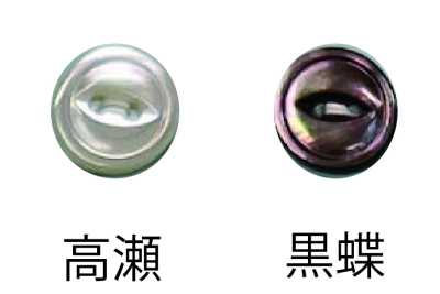 157 带边两孔纽扣