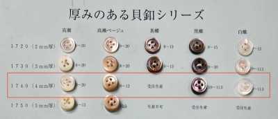 1740 正面四孔 带边 贝壳纽扣 4mm厚