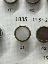 1835 优雅奢华的纽扣，适合简单的衬衫和夹克 Osaka Plastic Industries（DAIYA BUTTON） 更多图片
