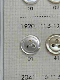 1920 DAIYA BUTTONS 3仿贝壳聚酯纤维纽扣 Osaka Plastic Industries（DAIYA BUTTON） 更多图片