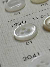 1920 DAIYA BUTTONS 3仿贝壳聚酯纤维纽扣 Osaka Plastic Industries（DAIYA BUTTON） 更多图片