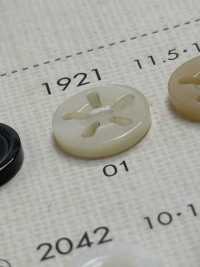 1921 DAIYA BUTTONS 5仿贝壳聚酯纤维纽扣 Osaka Plastic Industries（DAIYA BUTTON） 更多图片