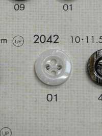2042 DAIYA BUTTONS仿贝壳聚酯纤维纽扣 Osaka Plastic Industries（DAIYA BUTTON） 更多图片