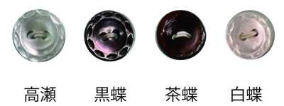 231 两眼带边贝壳纽扣