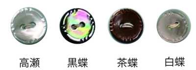 234 两孔 有边 贝壳纽扣