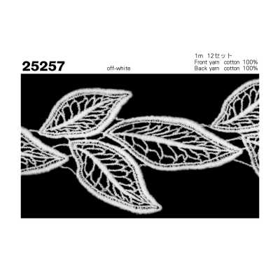 25257 化学蕾丝
