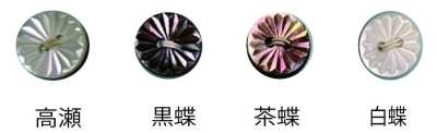 266 两孔 无边 贝壳纽扣