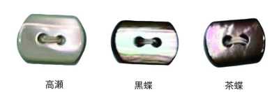 3010 两孔 椭圆形 贝壳纽扣