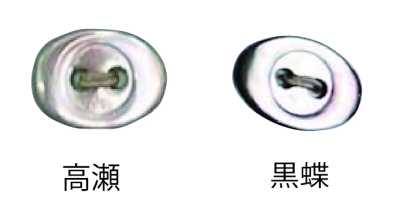 3400 两孔 椭圆形 贝壳纽扣