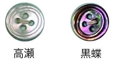 3500 四孔 带边贝壳纽扣