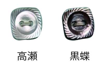420 两孔 有边贝壳纽扣