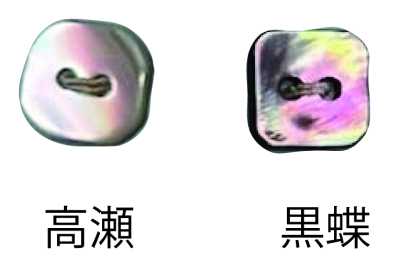 444 两孔 无边 贝壳纽扣