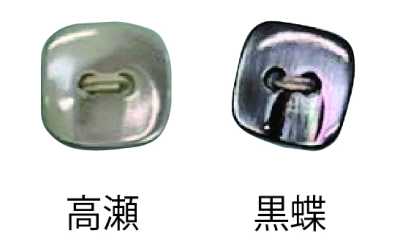 493 两孔 无边 贝壳纽扣