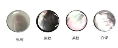 601K 金脚贝壳纽扣