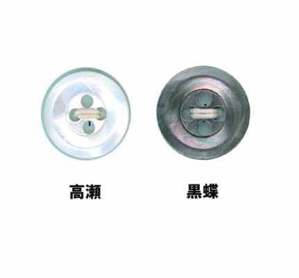 7 7型4孔贝壳纽扣