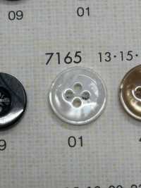 7165 DAIYA BUTTONS纽扣聚酯纤维仿贝壳 Osaka Plastic Industries（DAIYA BUTTON） 更多图片