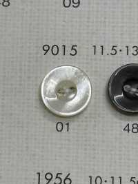 9015 DAIYA BUTTONS仿贝壳聚酯纤维纽扣 Osaka Plastic Industries（DAIYA BUTTON） 更多图片