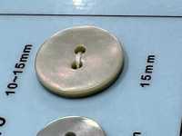 A110 2贝壳纽扣 Osaka Plastic Industries（DAIYA BUTTON） 更多图片