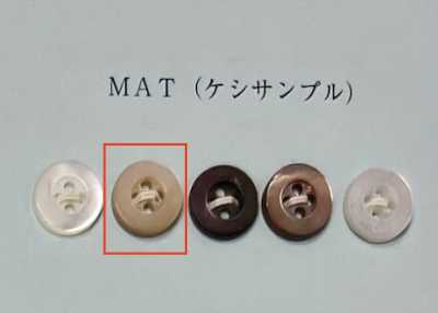 EX200MAT 高濑 米色 正面四孔 贝壳纽扣 哑光