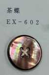 EX602 4孔，贝壳纽扣